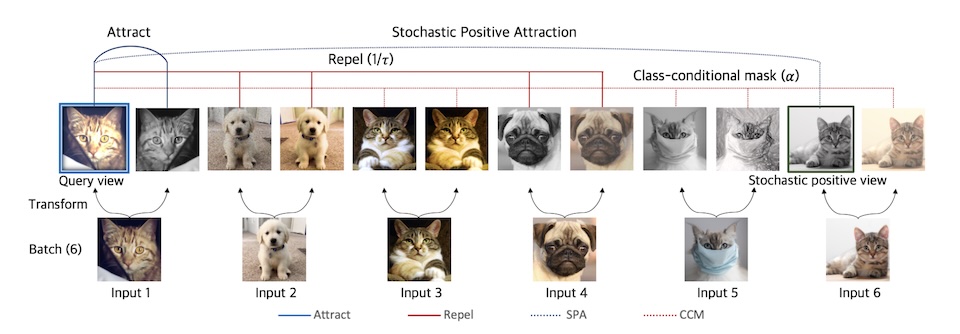 Masked Contrastive Learning for Anomaly Detection
